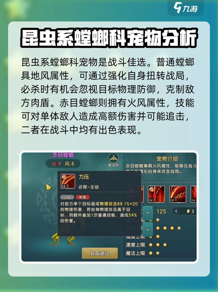 魔力宝贝私服如何轻松打副本提升通关效率的秘诀