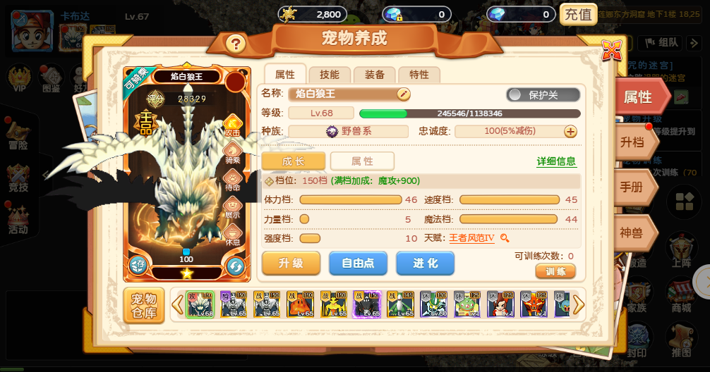 魔力宝贝私服宠物培养全攻略