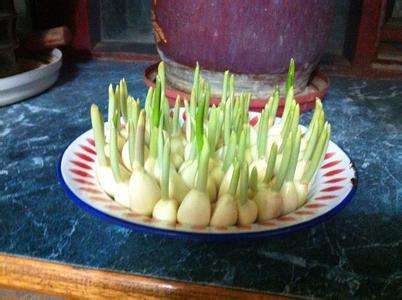 餐具修复小技巧,轻微破损不用扔 餐具修复小技巧,轻微破损不用扔