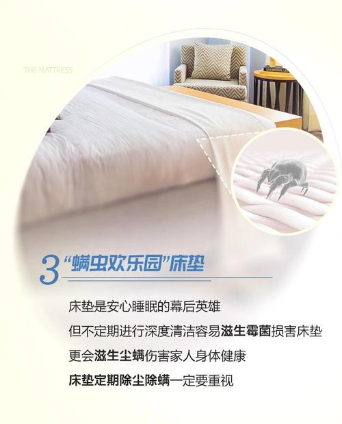 马克杯的日常保养秘籍